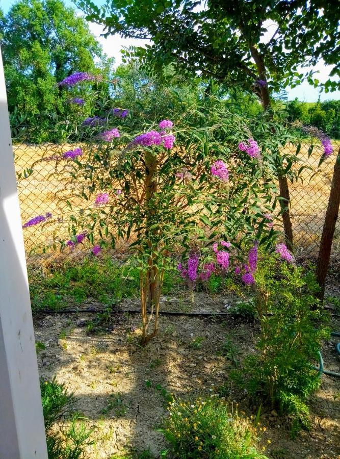 La Casa Di Tara B&B Armonia E Natura Реканати Екстериор снимка