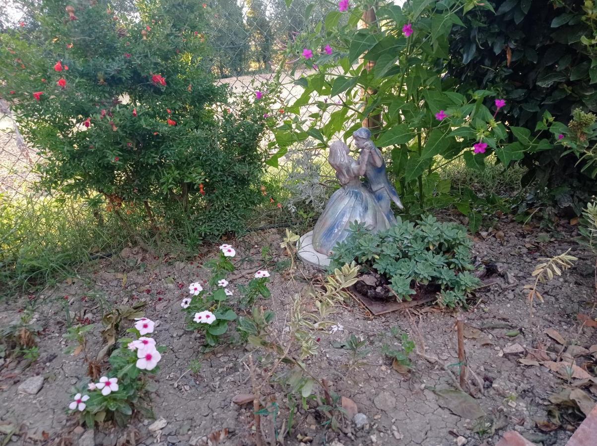 La Casa Di Tara B&B Armonia E Natura Реканати Екстериор снимка