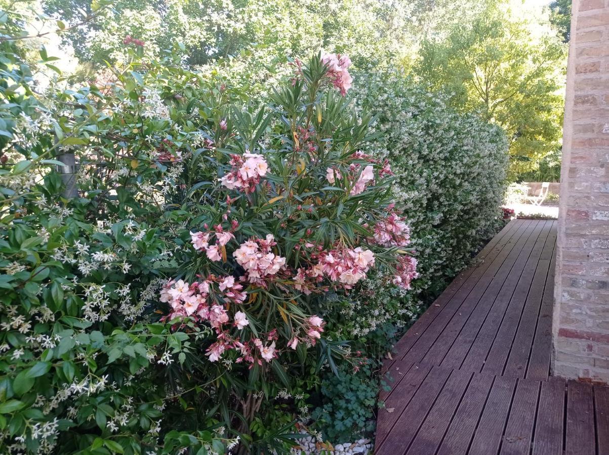 La Casa Di Tara B&B Armonia E Natura Реканати Екстериор снимка