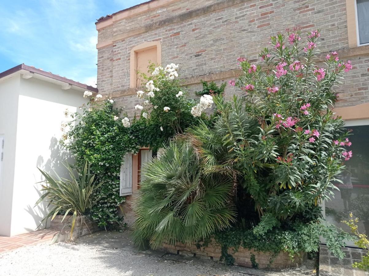 La Casa Di Tara B&B Armonia E Natura Реканати Екстериор снимка
