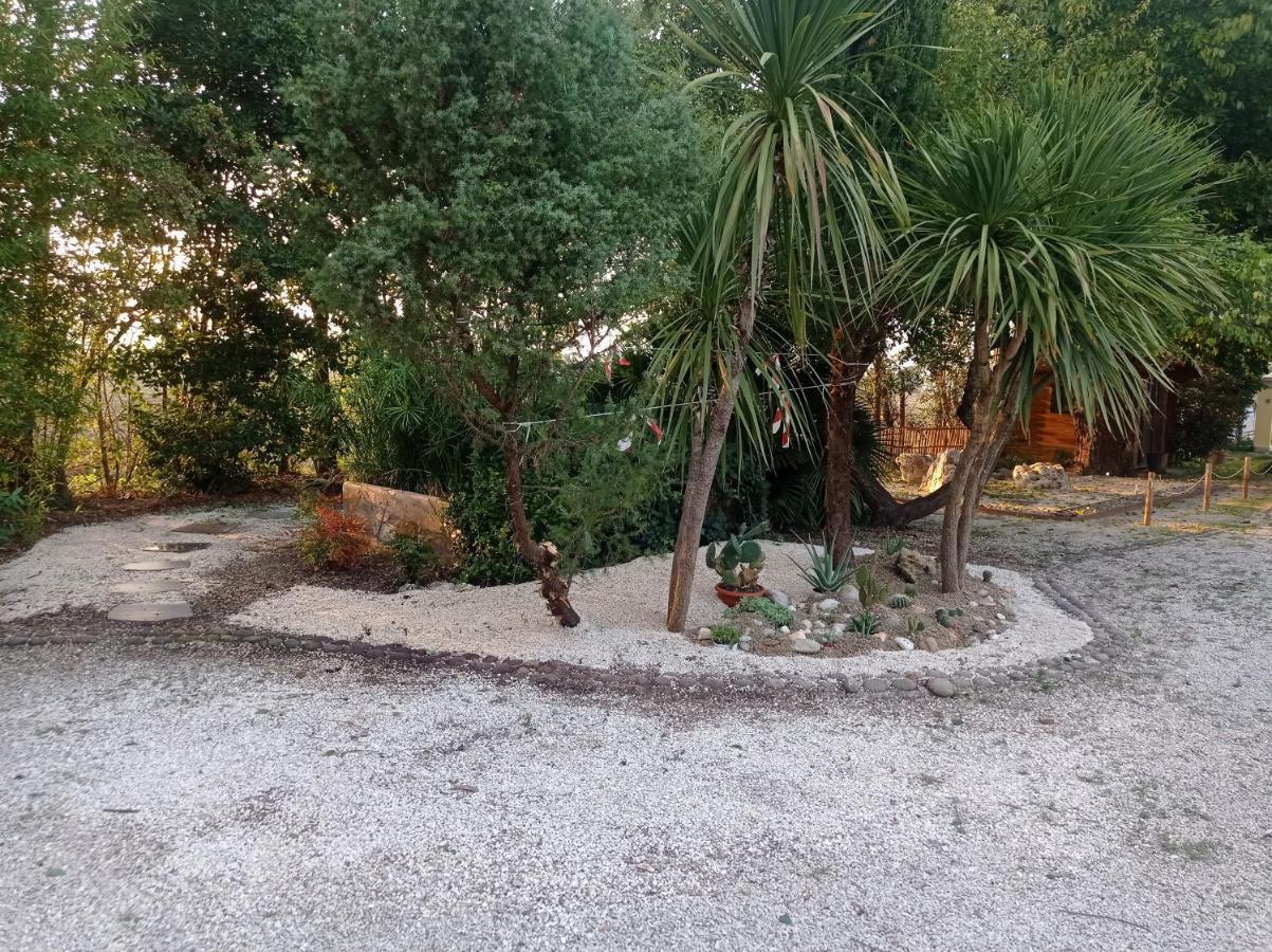 La Casa Di Tara B&B Armonia E Natura Реканати Екстериор снимка