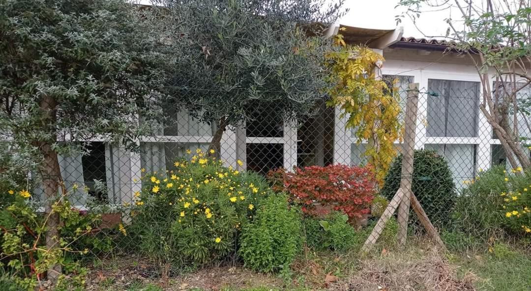 La Casa Di Tara B&B Armonia E Natura Реканати Екстериор снимка