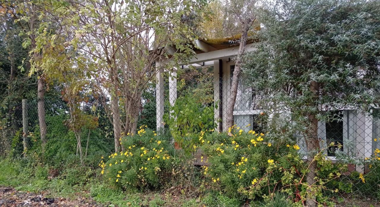 La Casa Di Tara B&B Armonia E Natura Реканати Екстериор снимка