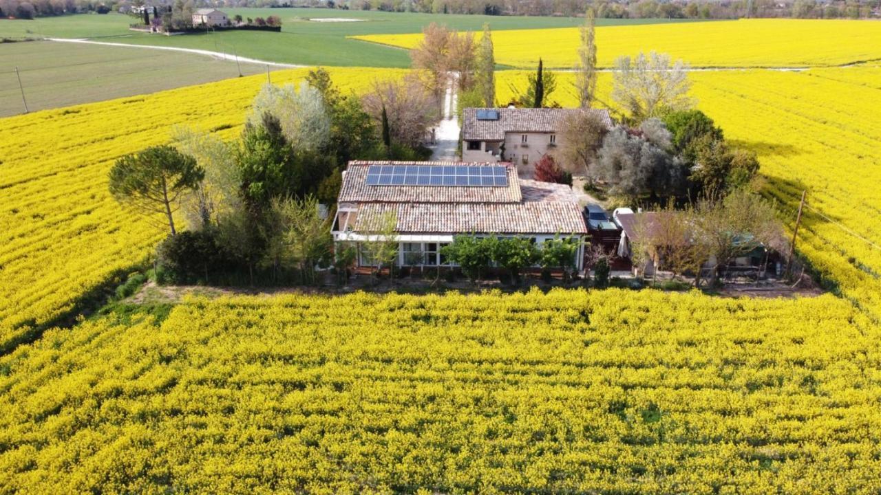La Casa Di Tara B&B Armonia E Natura Реканати Екстериор снимка