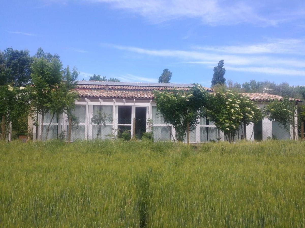 La Casa Di Tara B&B Armonia E Natura Реканати Екстериор снимка