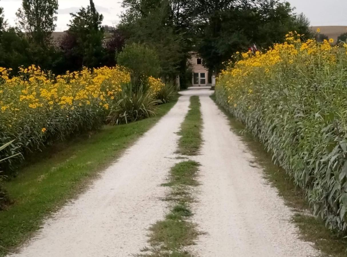 La Casa Di Tara B&B Armonia E Natura Реканати Екстериор снимка