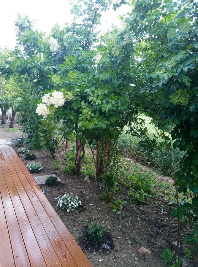 La Casa Di Tara B&B Armonia E Natura Реканати Екстериор снимка