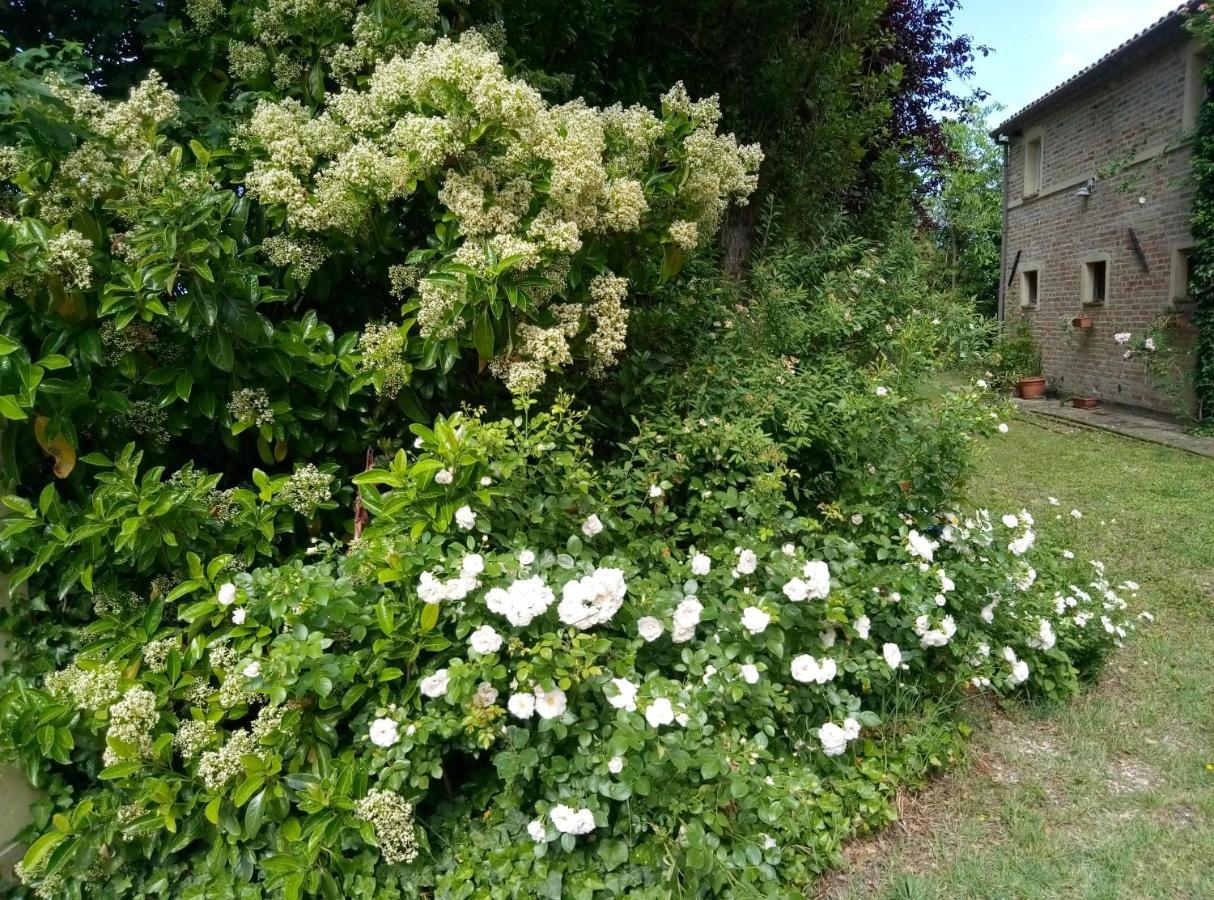 La Casa Di Tara B&B Armonia E Natura Реканати Екстериор снимка