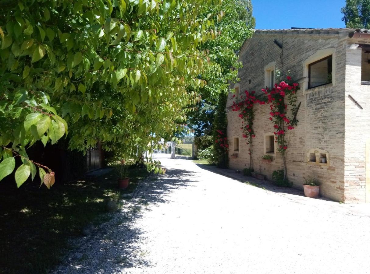 La Casa Di Tara B&B Armonia E Natura Реканати Екстериор снимка
